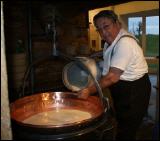 f�rhung k�serei mit degustation